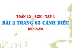Bài 2 trang 63 Toán 12 tập 1 Cánh Diều